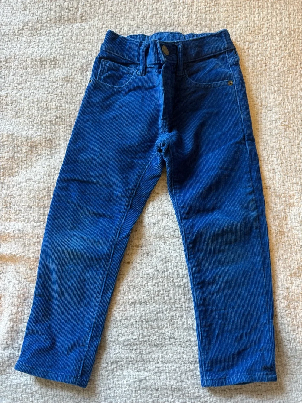 GAP Slim Corduroy Pants in Royal Blue
